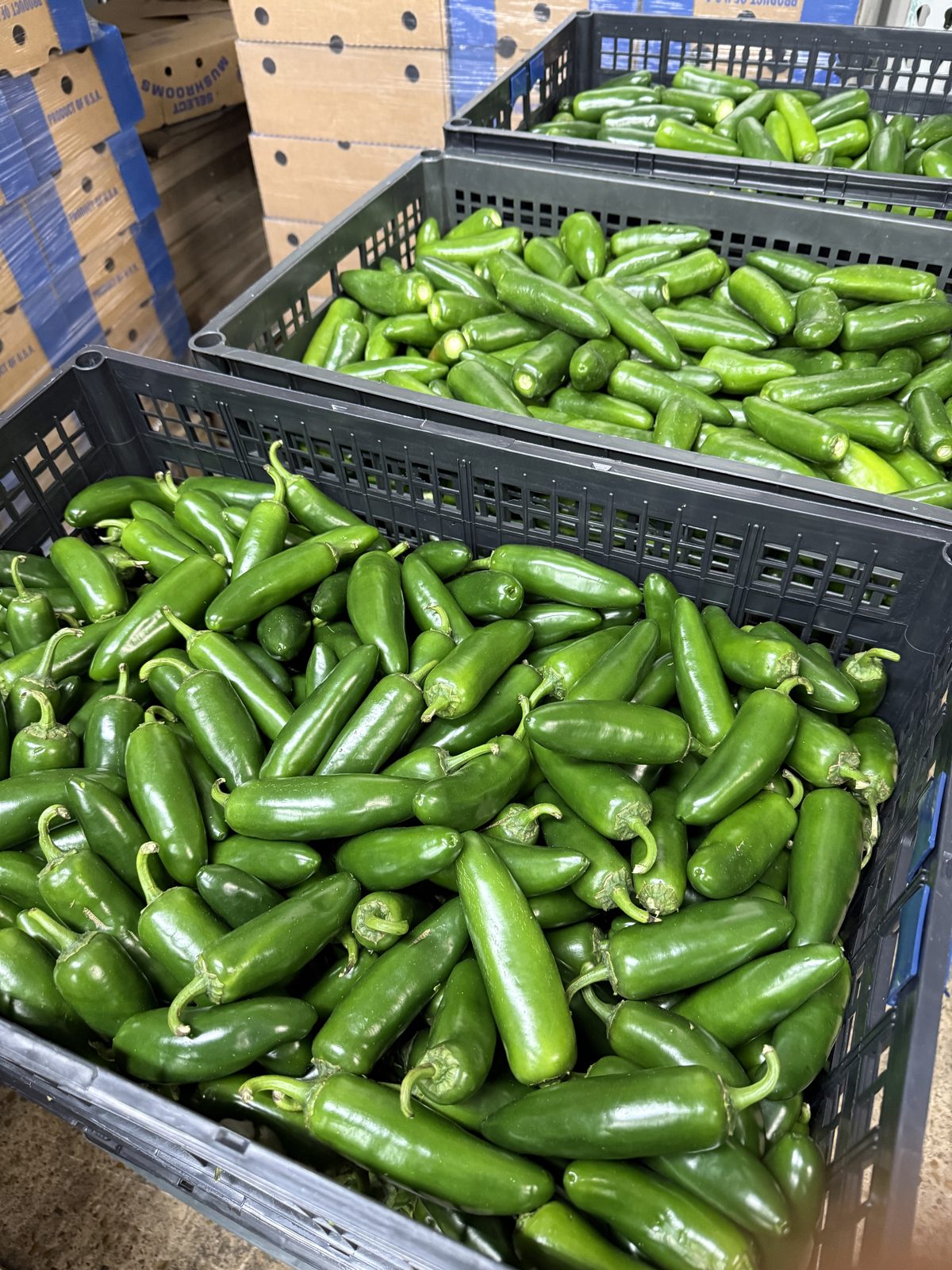 MAK Jalapeno Peppers